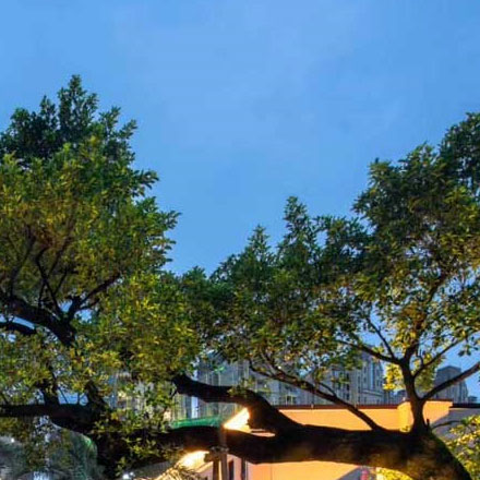 陜西品牌<a href=