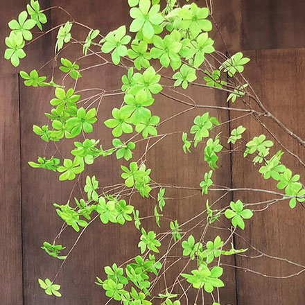 標(biāo)牌圖片-消防水池標(biāo)識(shí)標(biāo)牌