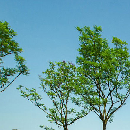 品牌設(shè)計(jì)作品案例展示