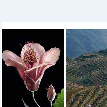 主題商場作品案例展示